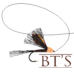bt logo gif